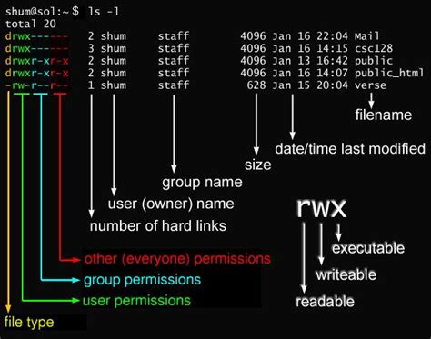linux chmod 755|File Permissions in Linux – How to Use the chmod .
